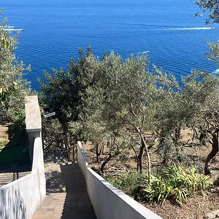 Antonella